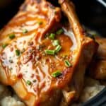Slow Cooker Honey Garlic Pork Chopsingredients